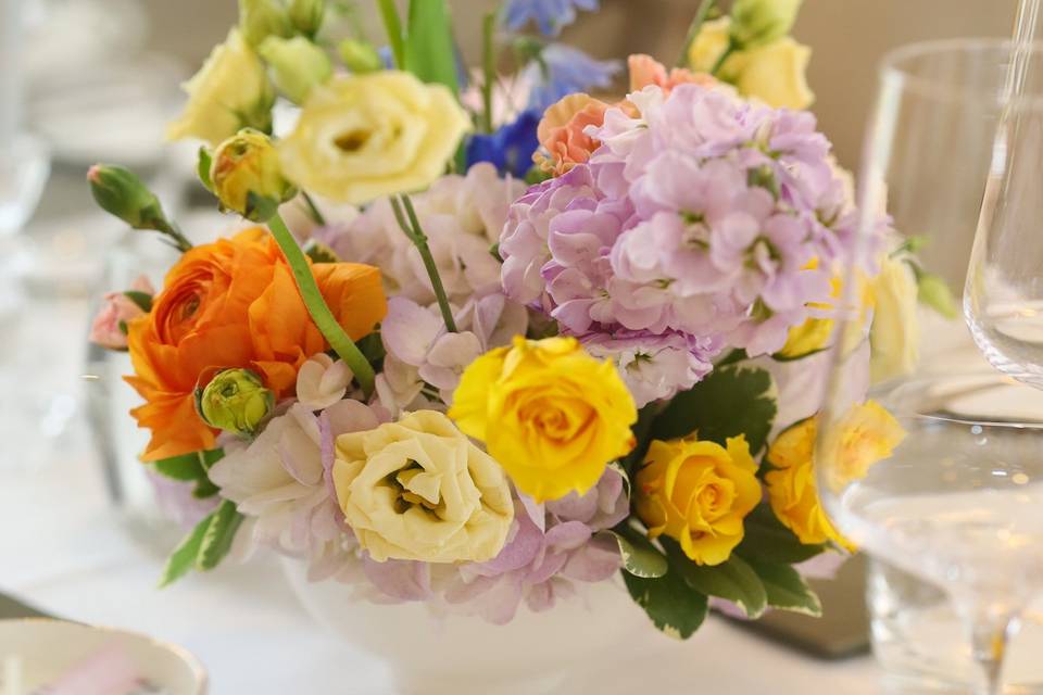 Colourful arrangement