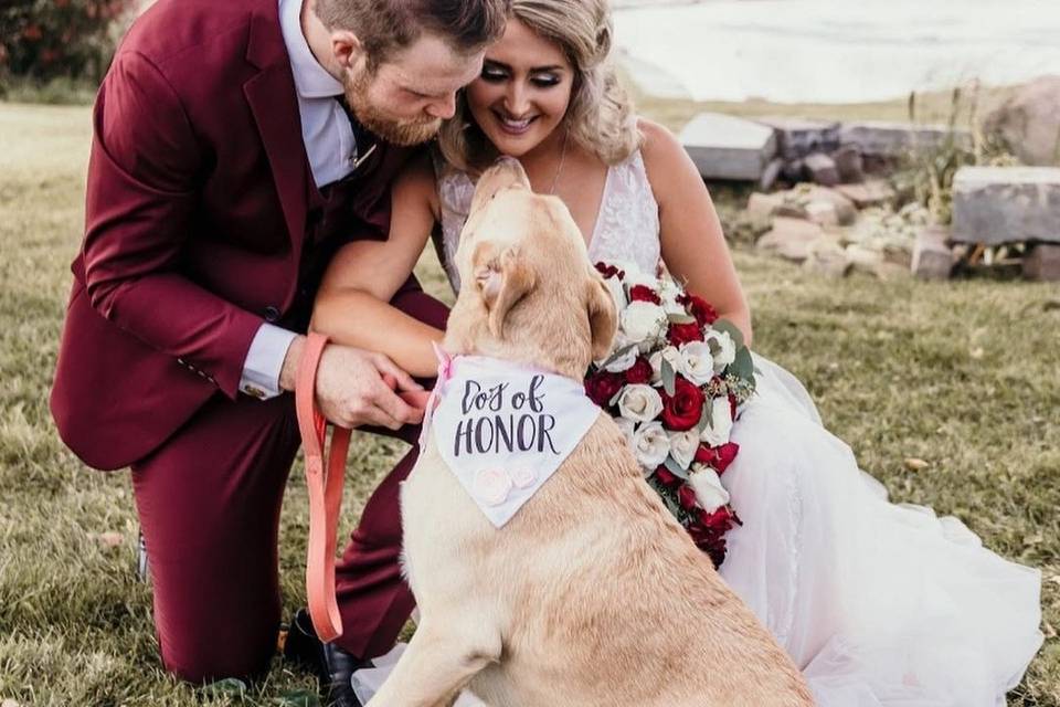 Pets are allowed to join