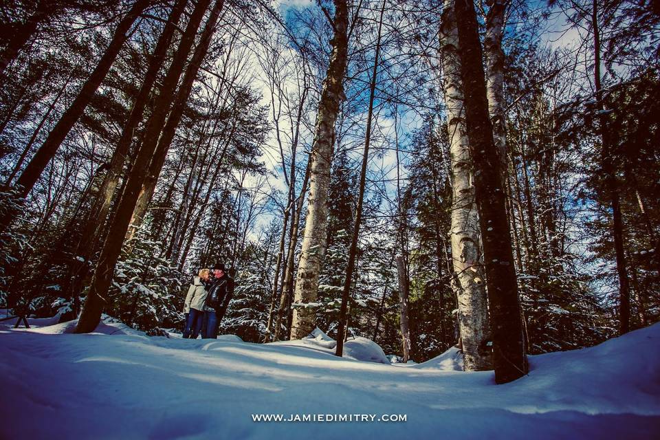 Snowy engagements