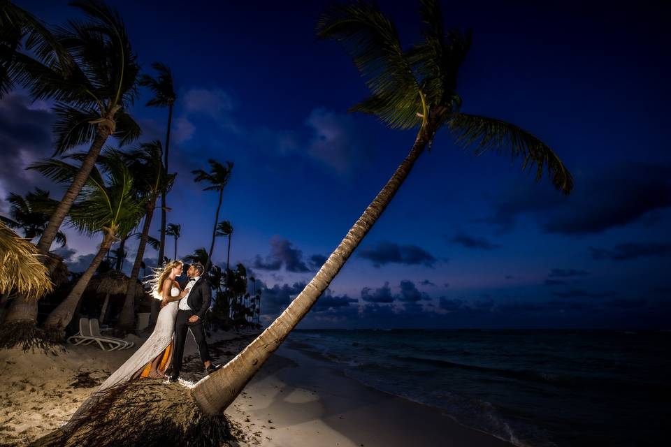 Palms in the wind