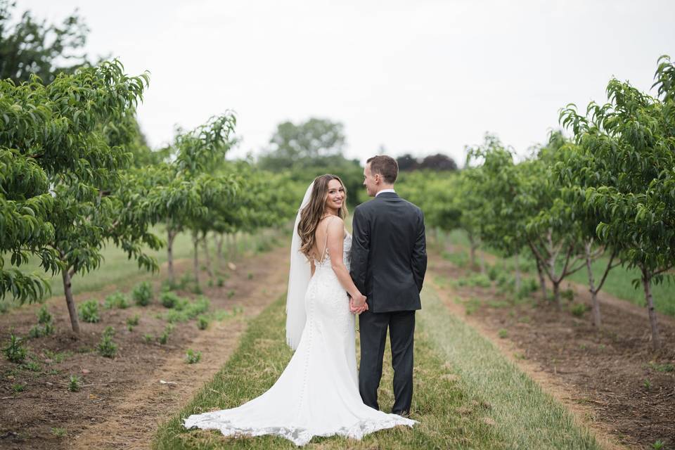 Honsberger Estate Vineyard