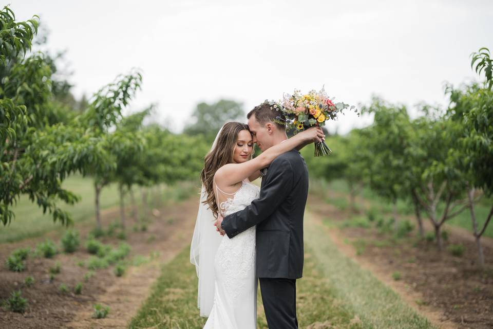 Honsberger Estate Vineyard