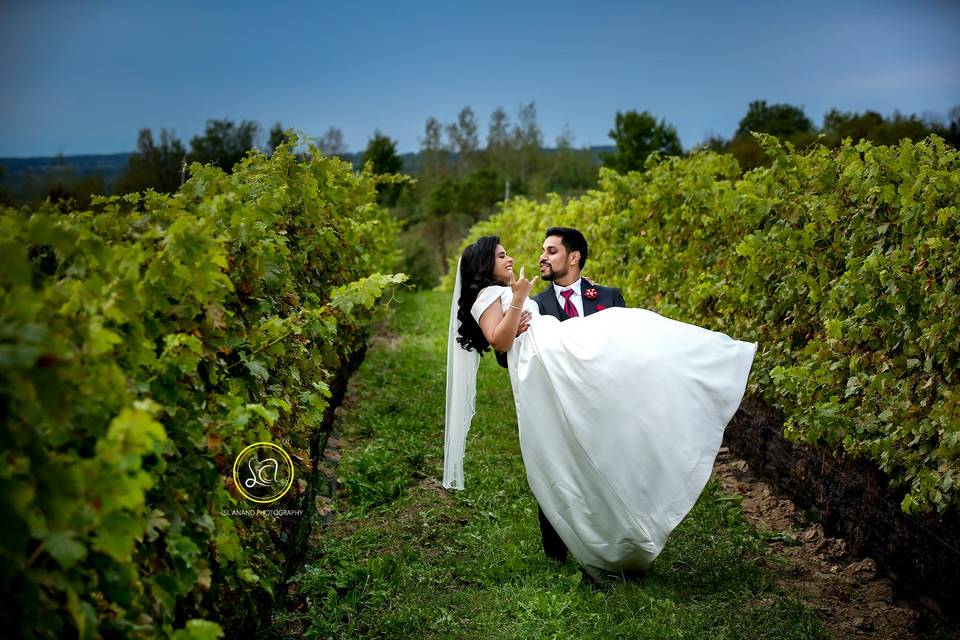 Wedding in a winery
