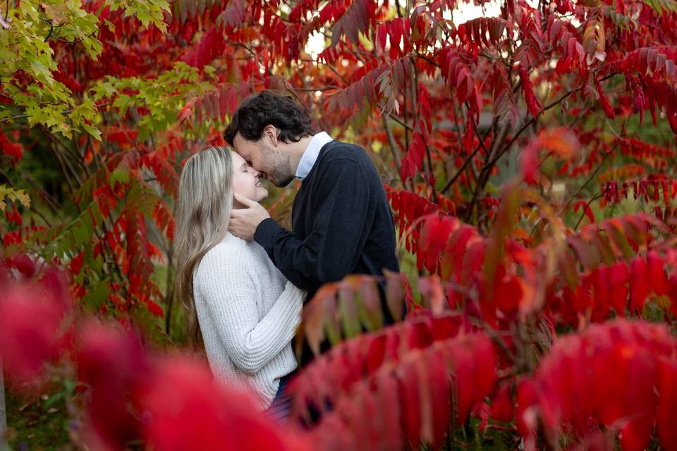 Fall engagement session