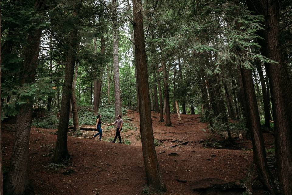 Forest engagement shoot