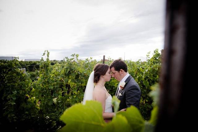 Niagara on the lake wedding
