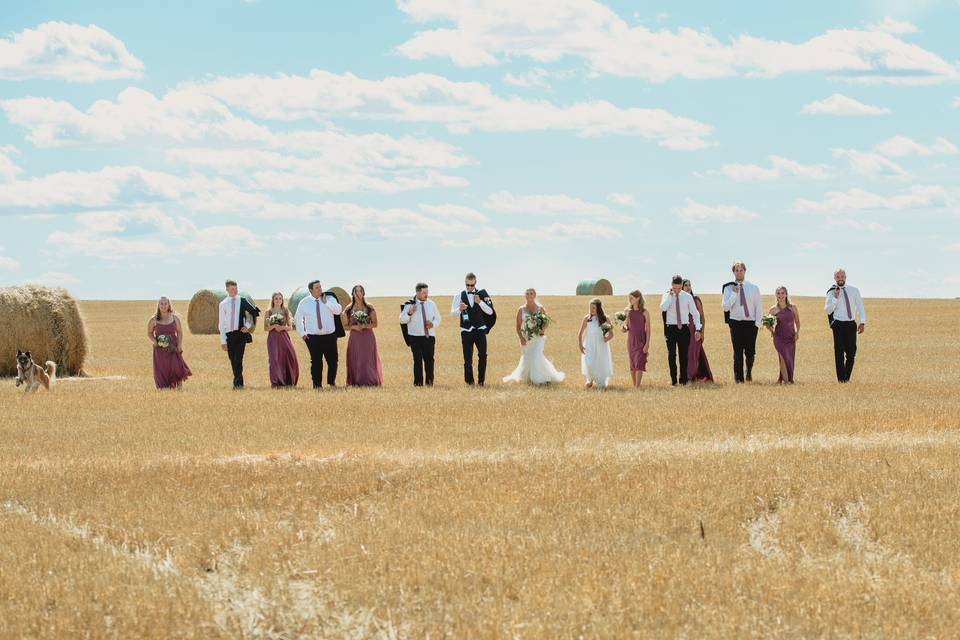 Bridal Party in Wheat Field