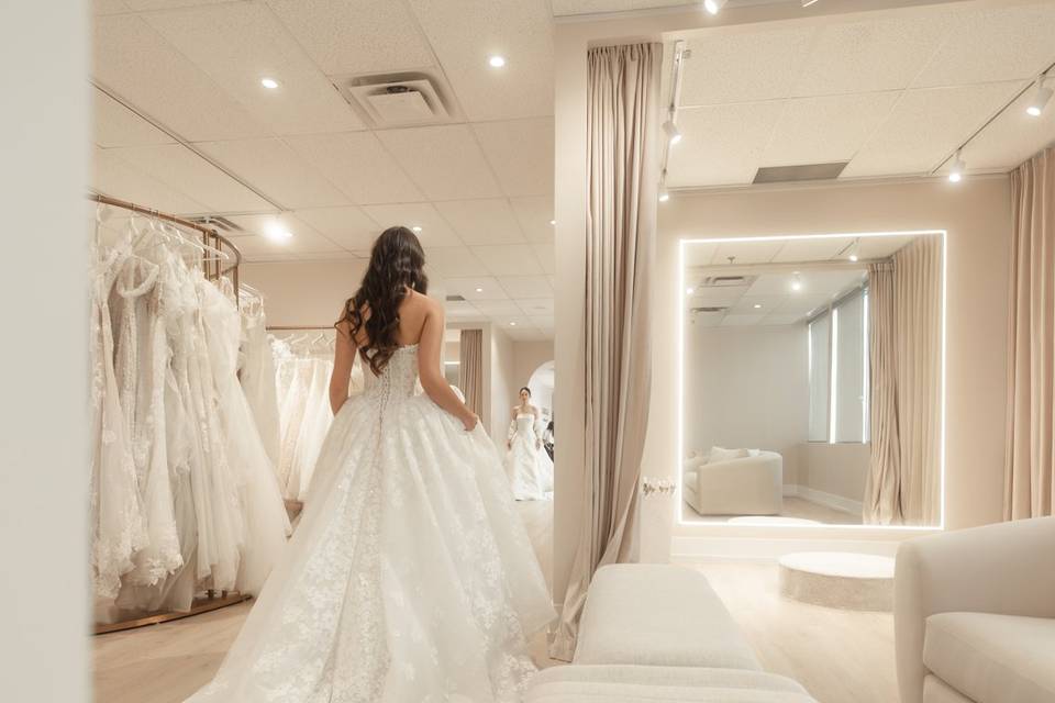 Princess wedding dress
