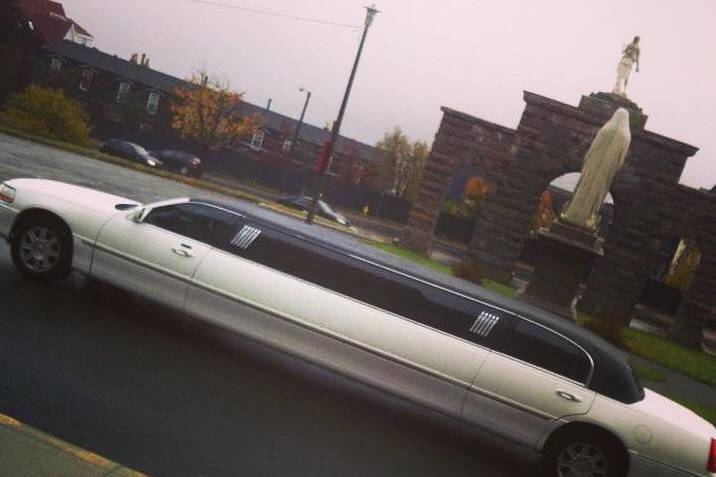 Platinum Limos