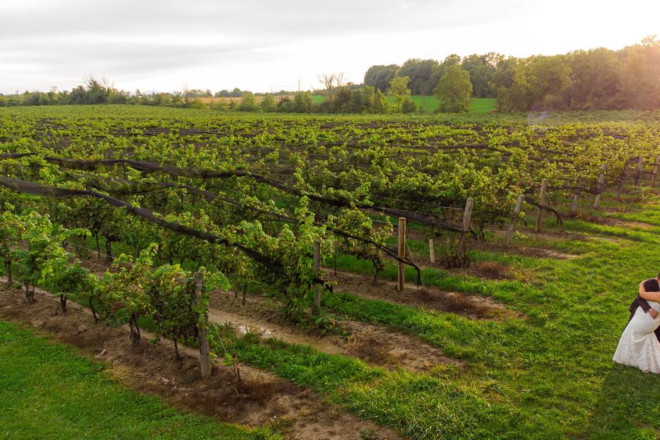 Vineyard couple shot