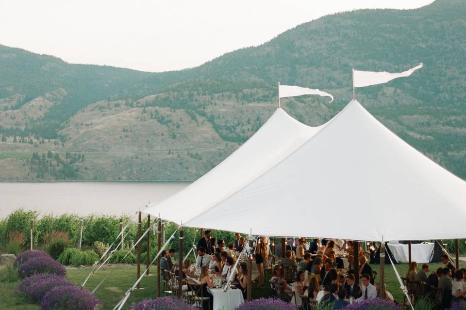 Painted Rock Wedding