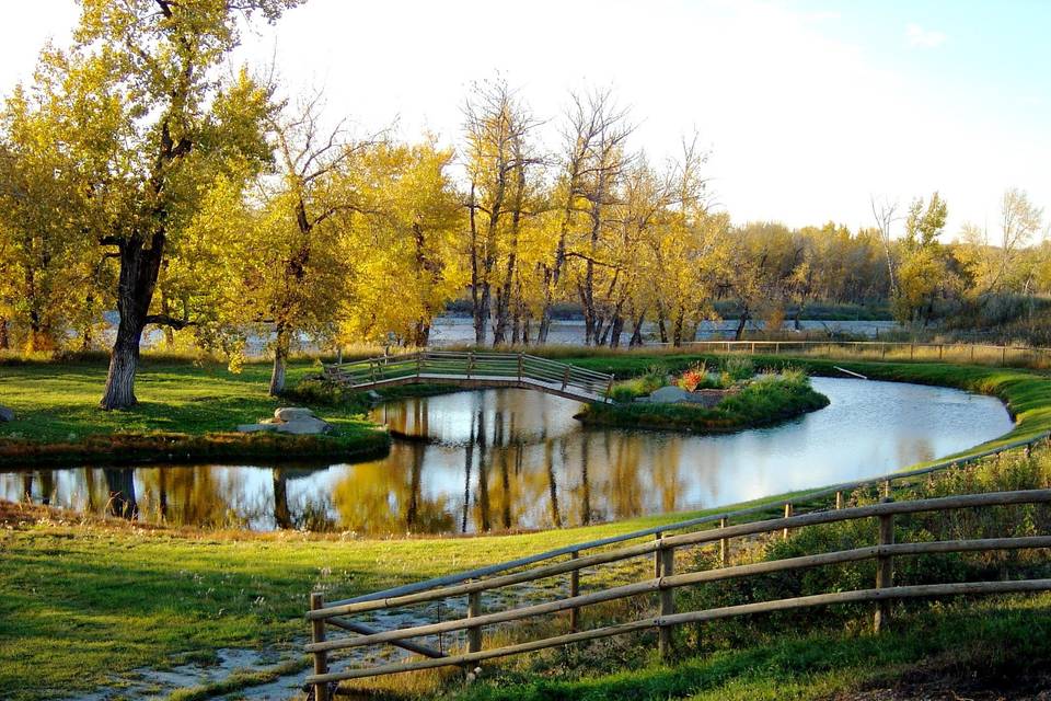 Pond