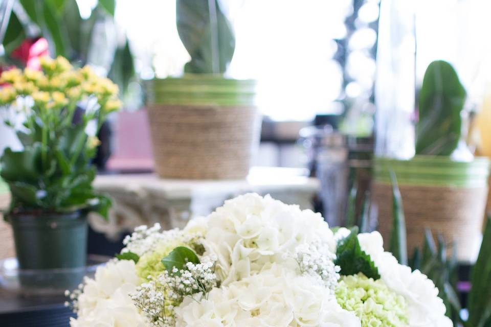 Hydrangea bouquet