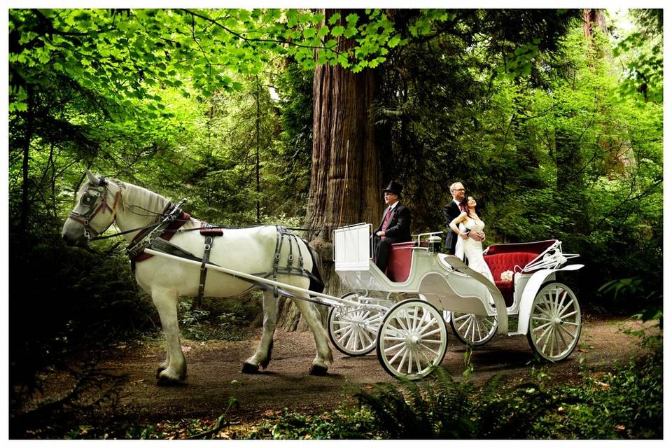 STANLEY PARK CARRIAGE WEDDING