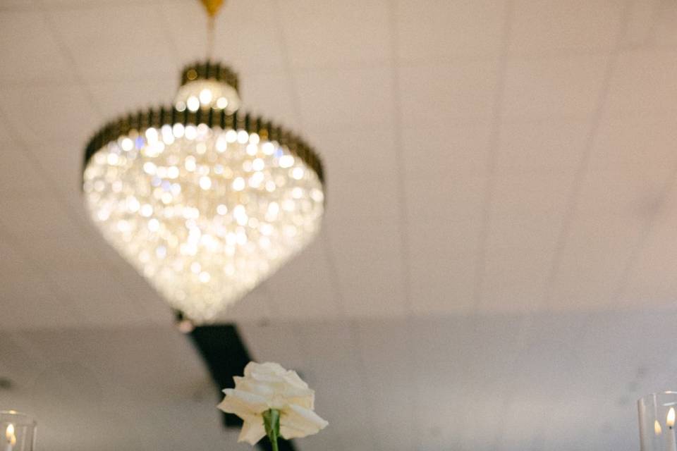 Fresh & Candles