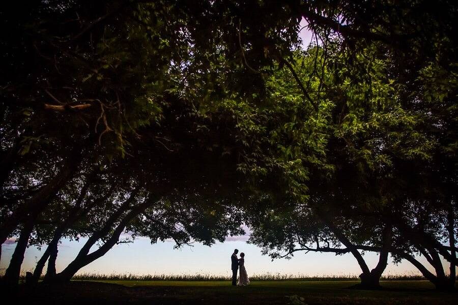 Country wedding in Alberta