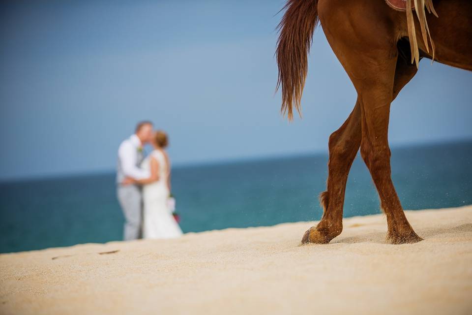 Mexico destination wedding