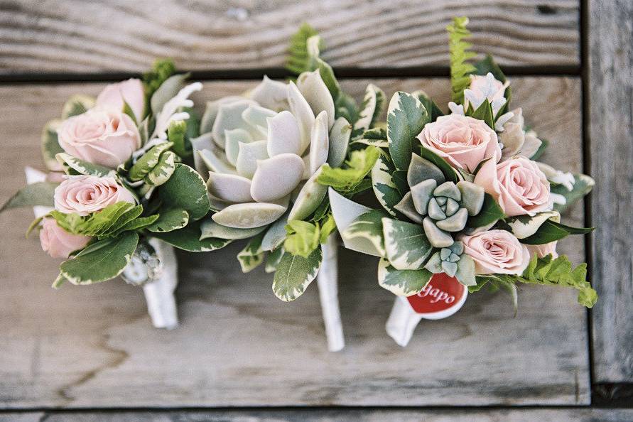 Succulents and rose bouts
