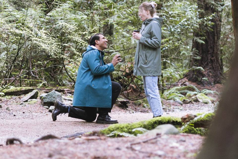 Proposal M&K