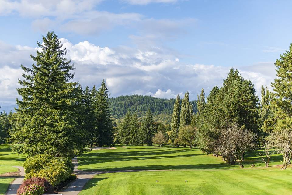 View from Patio