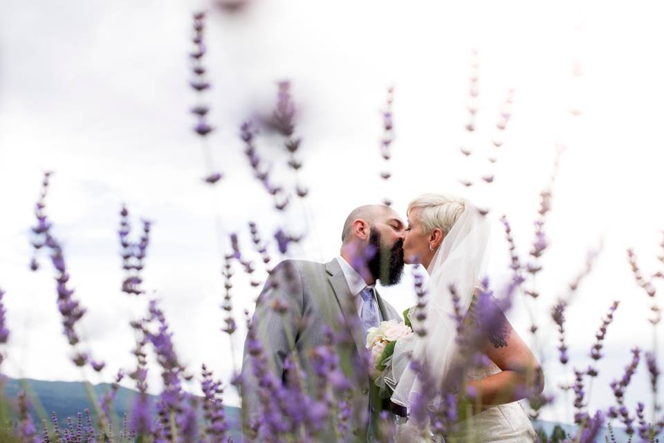 Kissing in the lavender field