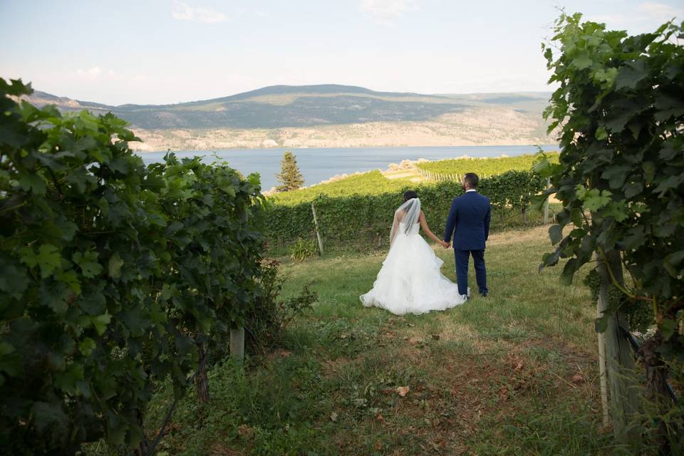 Couple in a vineyard