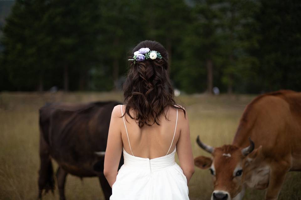 Bride near cows