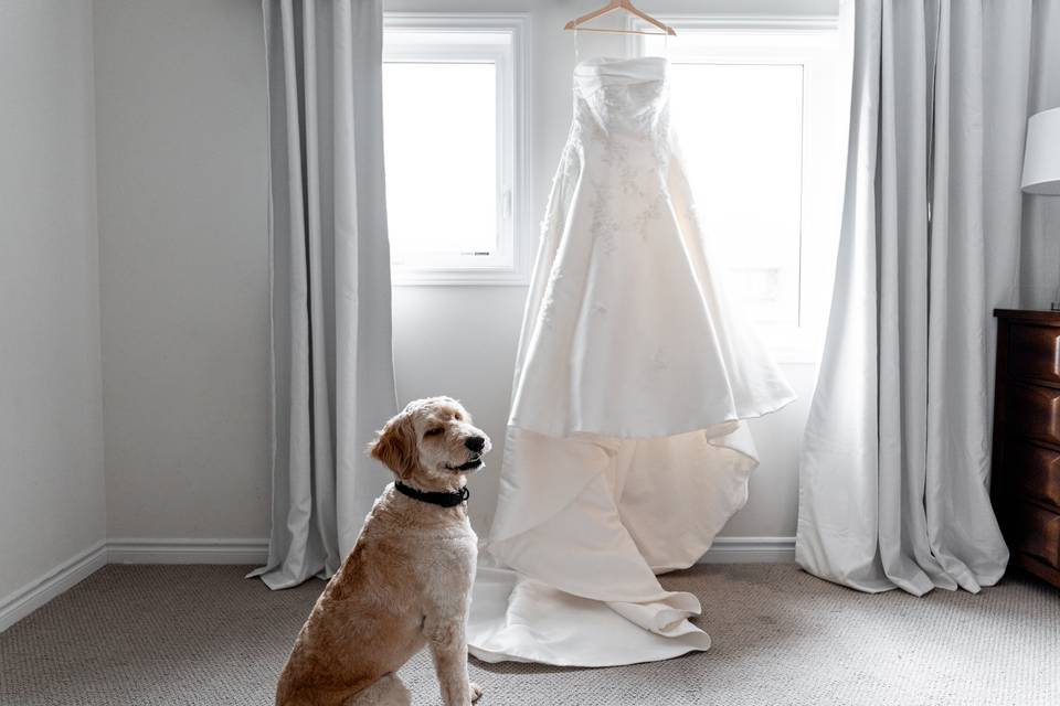 Candid wedding photographer