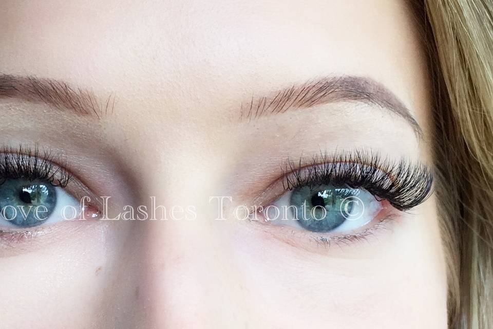 Love of Lashes Toronto