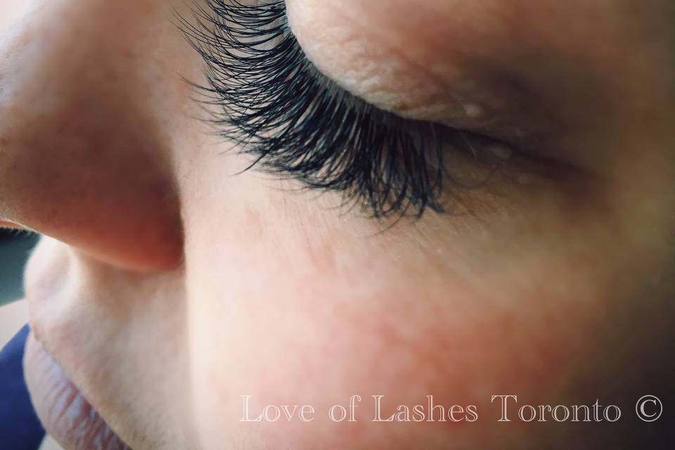 Love of Lashes Toronto