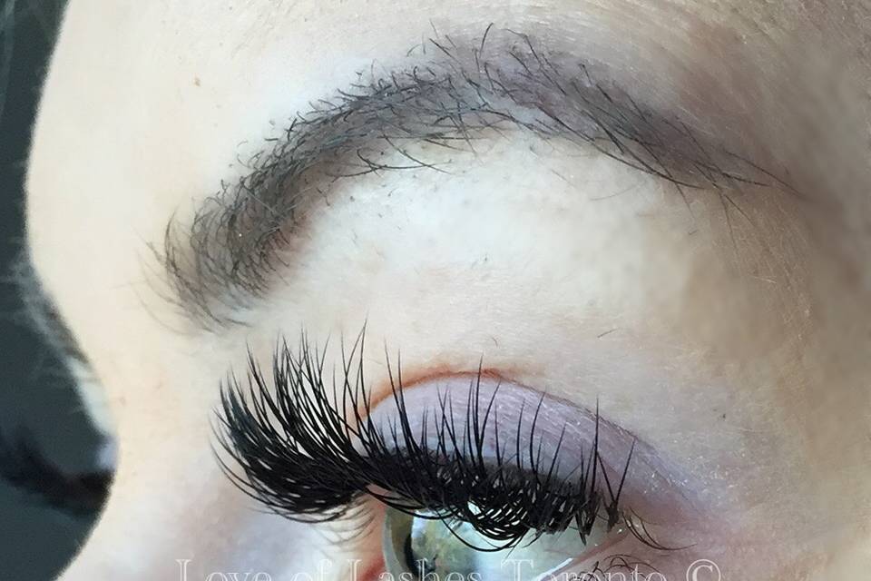 A full set of Classic Lashes