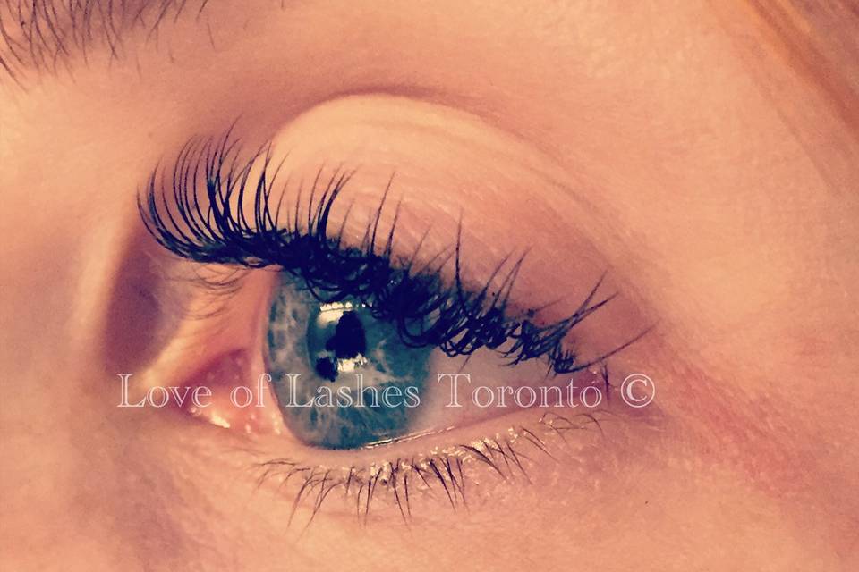 A full set of Classic lashes