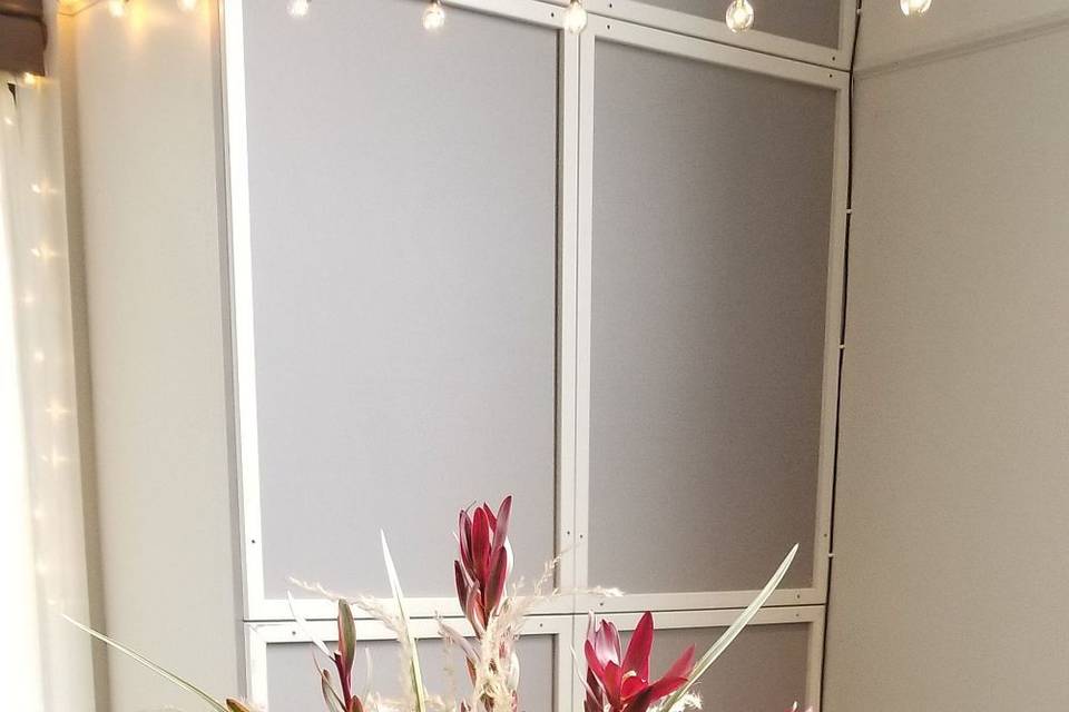 Tropical Interlude Spray