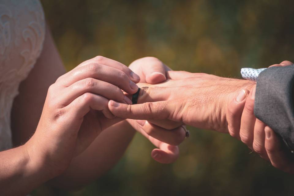 Wedding Photography