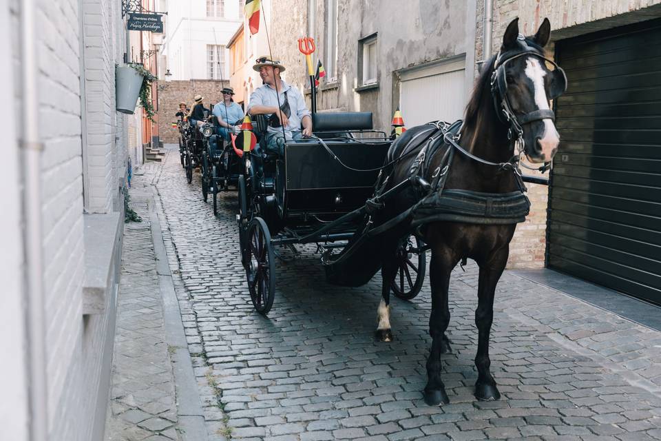 Horse drawn carriages await