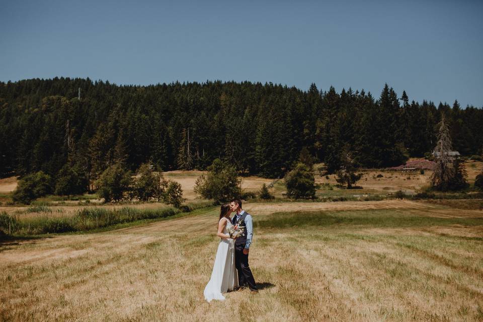 Salt spring island farm fields