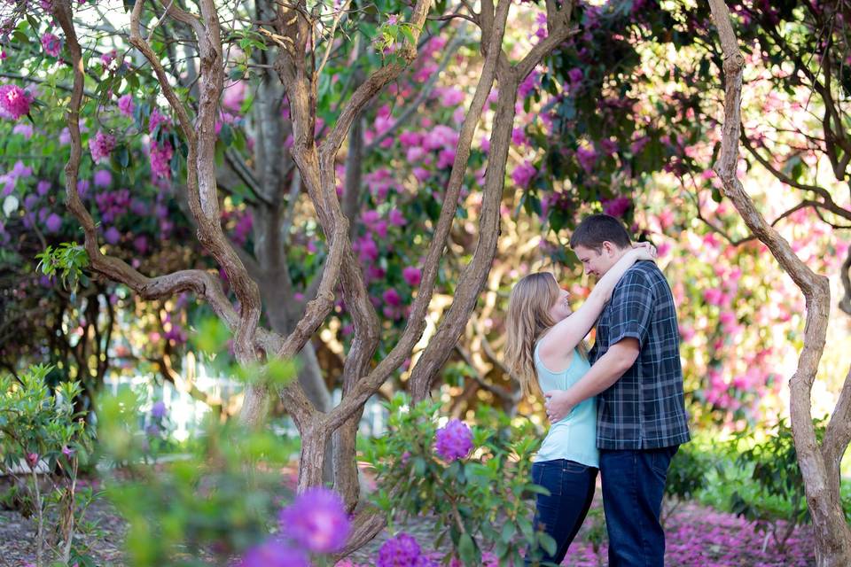 Deer lake engagement