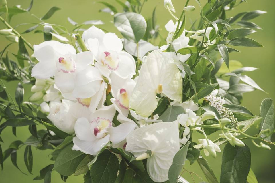 Flowers.