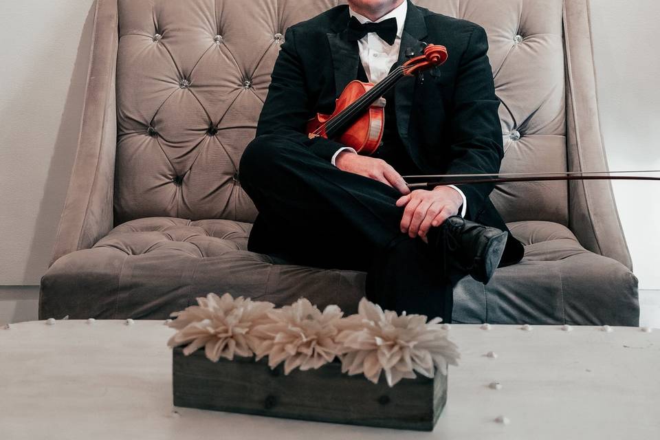 Wedding Violinist Darcy Stamp