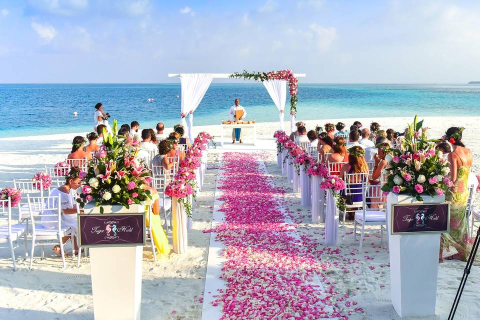 Stunning beach weddings