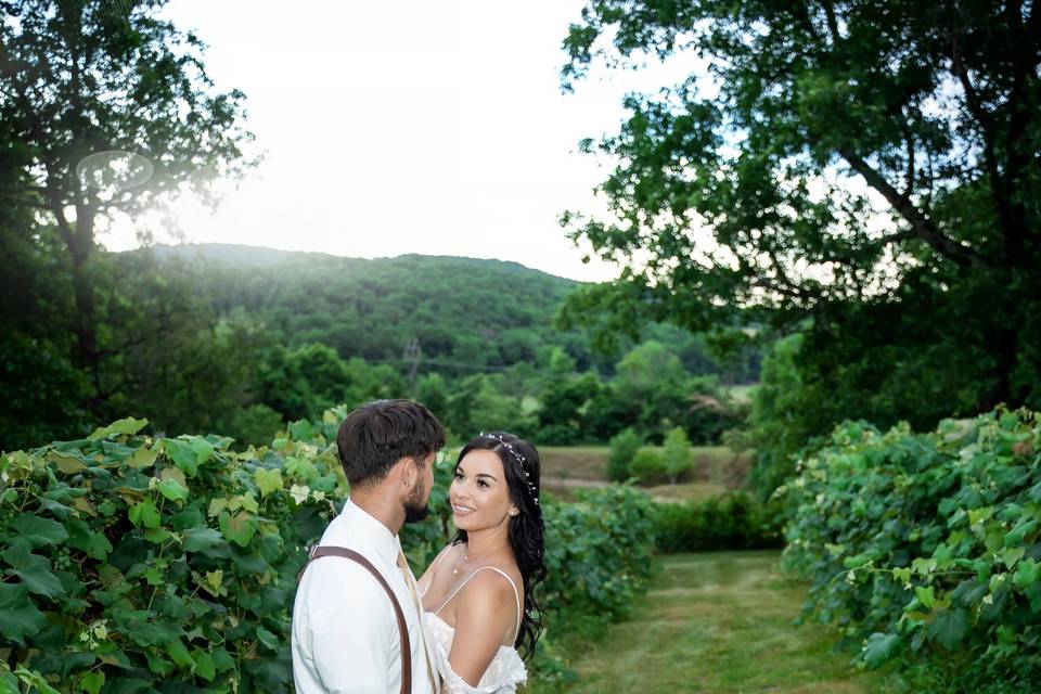 Newlyweds hold hands vineyard