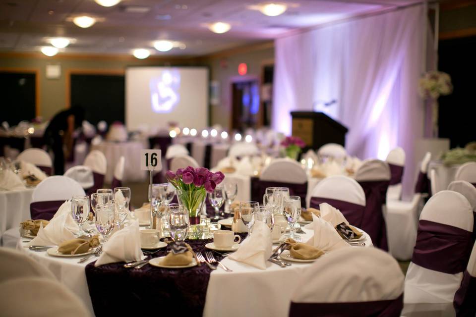 Lavish Design Group | Chair Covers & Event Décor