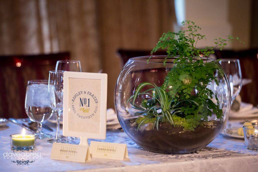 Terrarium Centrepiece