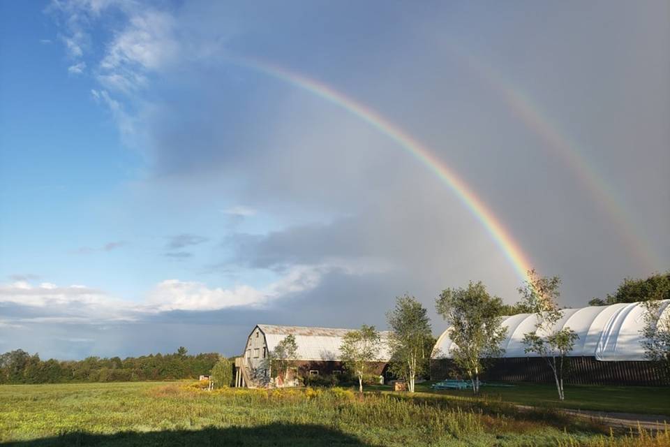 The perfect rainbow