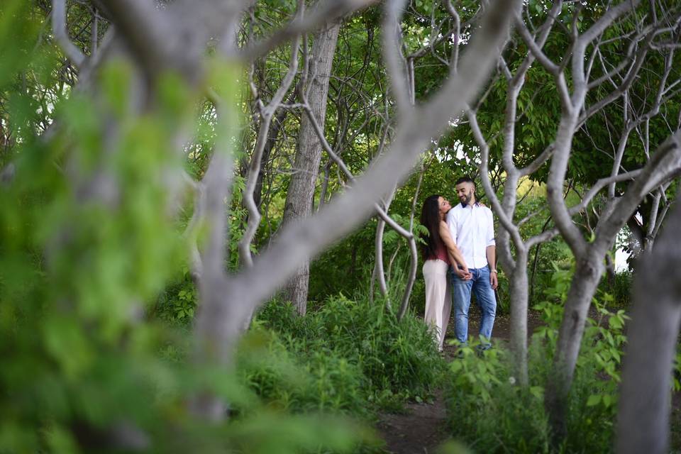 Engagement, among the trees