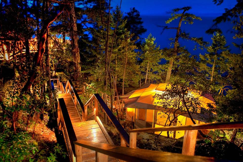 Boardwalk at Night