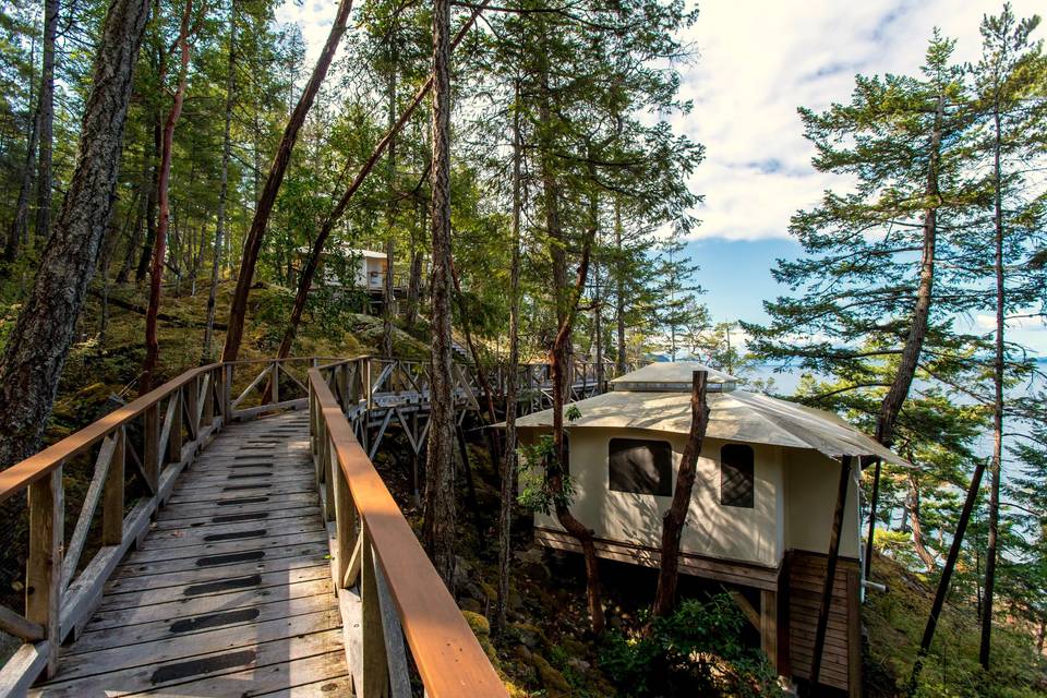 Boardwalk to tents