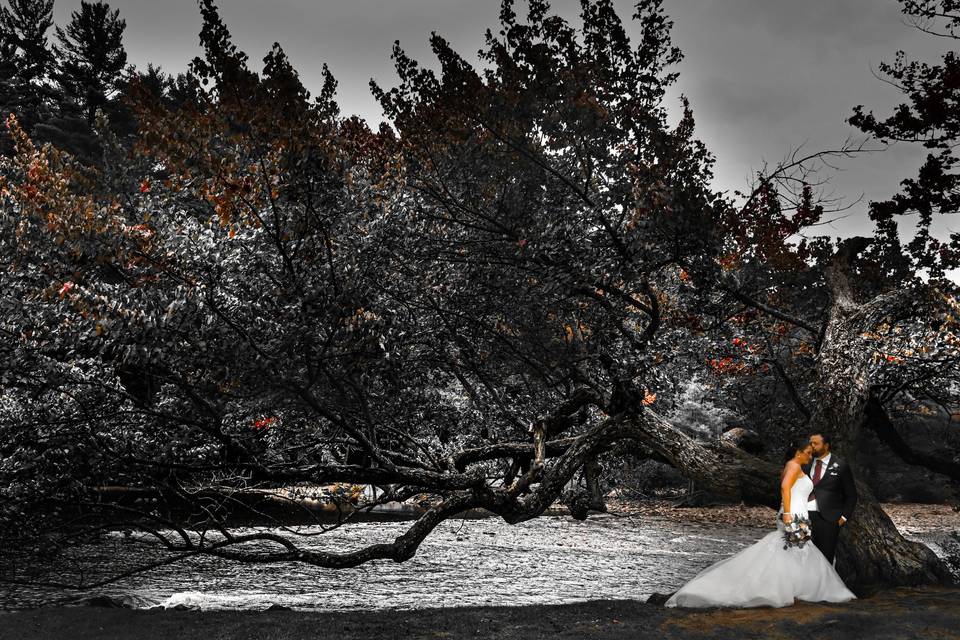 Muskoka weddings