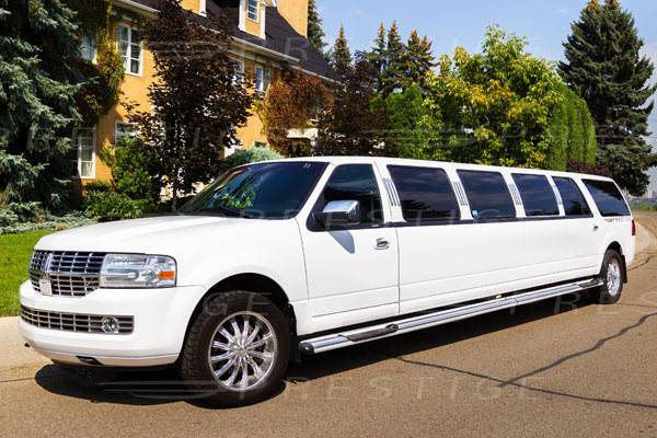 20 passenger limo coach