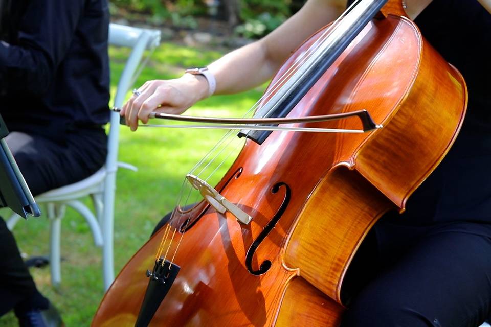 Love a cello moment.